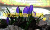 坦白说查看器pc电脑版 1.3 免费版