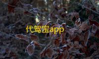 代驾宝app