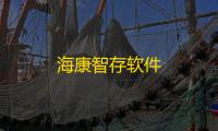 海康智存软件