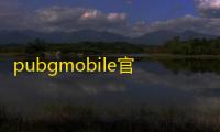 pubgmobile官方正版
