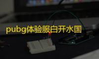 pubg体验服白开水国体直装免费